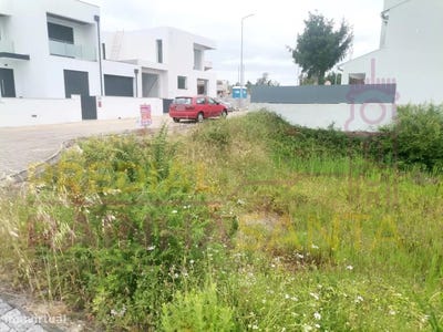 /international/pt/anca-coimbra-310100231278/