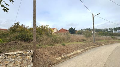 /international/pt/roinel-coz-leiria-310095227856/