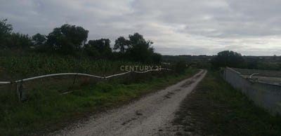 /international/pt/sao-joao-das-lampas-e-terrugem-lisbon-310094784950/