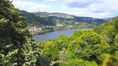 /international/pt/cinfaes-viseu-310108602563/