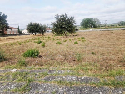 /international/pt/rua-das-regadias-pelariga-portugal-pelariga-leiria-310101735681/