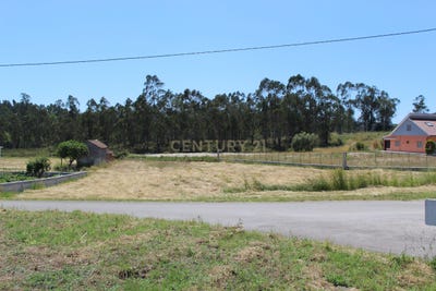 /international/pt/rua-do-serradinho-almagreira-leiria-120091016426/