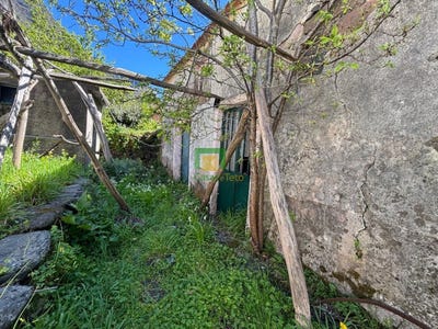 /international/pt/camara-de-lobos-madeira-310107240101/