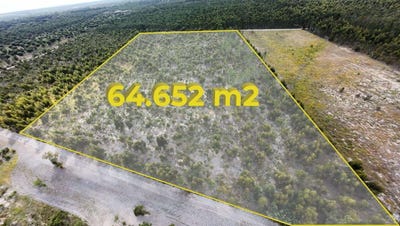 /international/pt/estrada-dos-alemaes-santo-estevao-portugal-santo-estevao-santarem-310108670575/