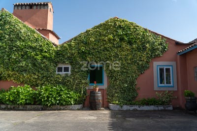/international/pt/miranda-do-corvo-coimbra-310108159368/