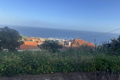 /international/pt/santa-cruz-madeira-310105538786/