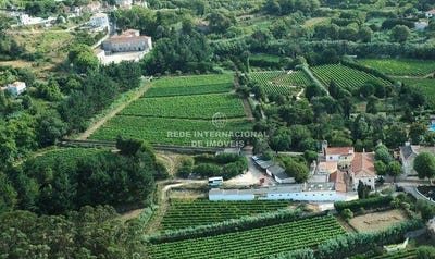 /international/pt/colares-lisbon-310101186391/?lang=zh-cn