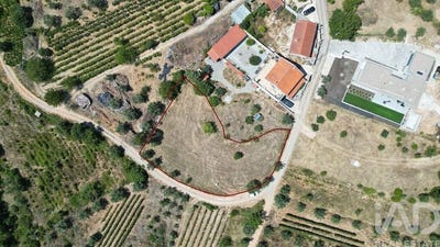/international/pt/podentes-coimbra-310101835504/