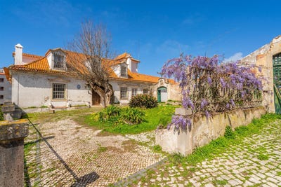 /international/pt/tavarede-coimbra-310106068485/