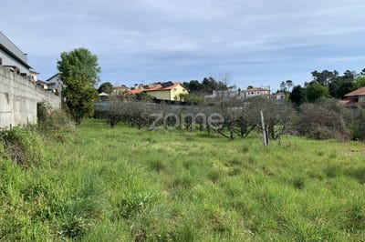 /international/pt/viseu-viseu-310102746644/
