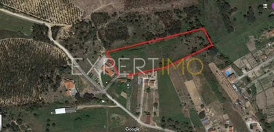 /international/pt/r-dr-antonio-canova-ribeiro-lisboa-lisbon-310100234682/