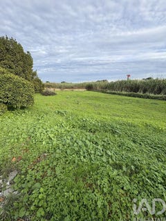 /international/pt/setubal-setubal-municipality-310104285093/