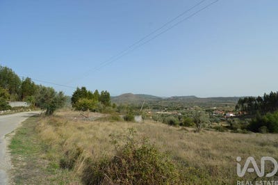 /international/pt/leiria-leiria-120088937096/