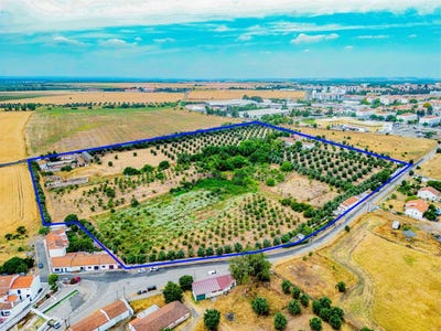 /international/pt/beja-santiago-maior-e-sao-joao-baptista-beja-310106628104/