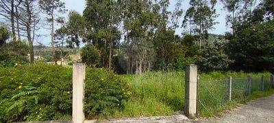 /international/pt/caminha-viana-do-castelo-310106286578/