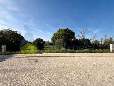 /international/pt/quarteira-lisbon-310105944251/