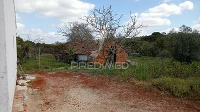 /international/pt/couco-coruche-santarem-120083505817/