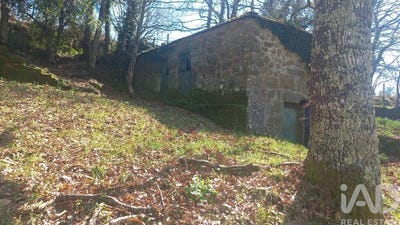 /international/pt/porto-braga-120091100871/