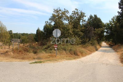 /international/pt/seia-guarda-310102587529/