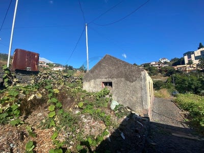 /international/pt/sao-roque-madeira-310097952856/