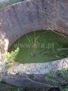 /international/pt/comporta-setubal-municipality-310105307899/