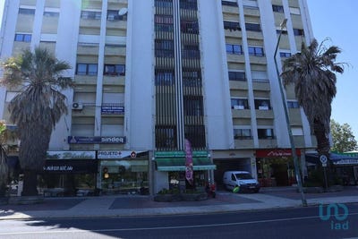 /international/pt/leiria-leiria-310100276716/