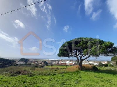 /international/pt/areosa-viana-do-castelo-120088962886/