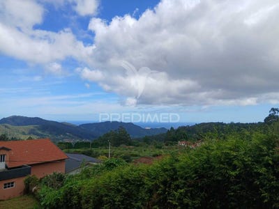 /international/pt/santo-antonio-da-serra-machico-madeira-310099496941/