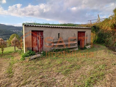 /international/pt/riba-de-mouro-viana-do-castelo-310100483408/