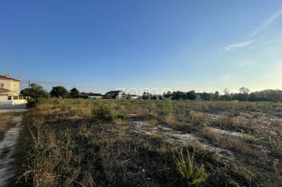 /international/pt/estarreja-aveiro-120080489130/