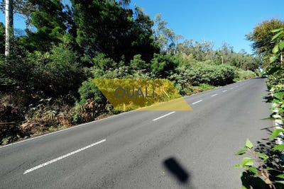 /international/pt/santo-antonio-da-serra-madeira-120077213940/
