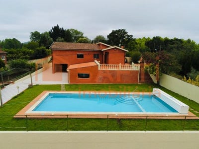 /international/pt/tamengos-aveiro-310100484803/