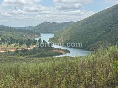 /international/pt/silves-faro-120086456188/