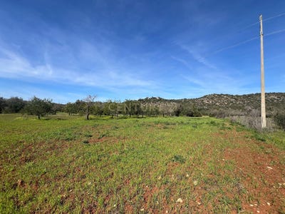 /international/pt/paderne-viana-do-castelo-310098102420/