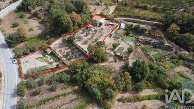 /international/pt/viseu-viseu-310102959962/