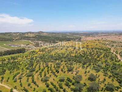 /international/pt/corval-evora-310108652555/?lang=id
