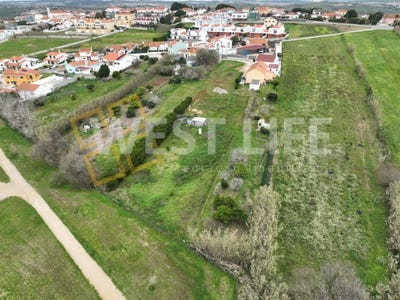/international/pt/sao-pedro-da-cadeira-lisbon-310098371160/