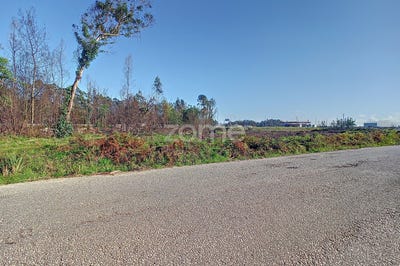 /international/pt/aveiro-aveiro-310098120207/