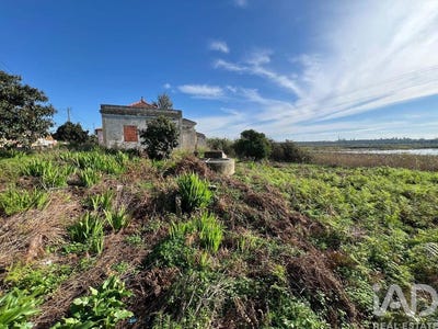 /international/pt/setubal-setubal-municipality-310106410366/