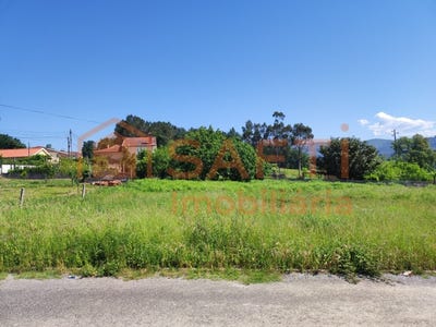/international/pt/pico-de-regalados-braga-310100484667/?lang=zh-cn