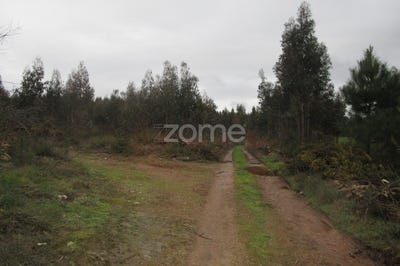 /international/pt/vila-nova-de-famalicao-braga-120060876740/?lang=zh-tw
