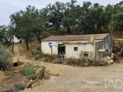 /international/pt/beja-beja-310101968544/