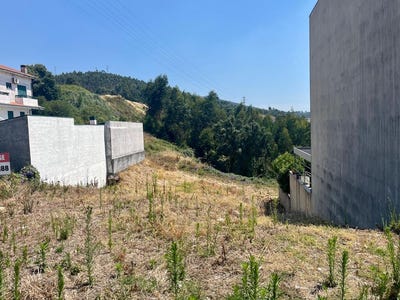 /international/pt/porto-braga-310101225722/?lang=es