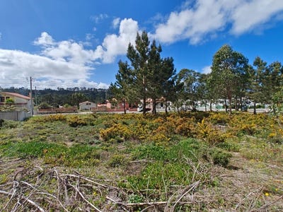 /international/pt/foz-do-arelho-leiria-310100761509/