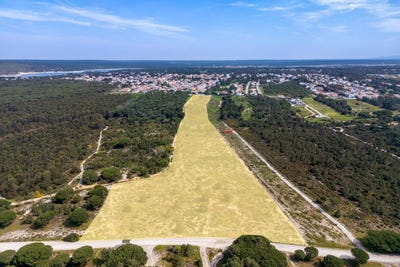 /international/pt/sesimbra-santiago-setubal-municipality-310107760300/