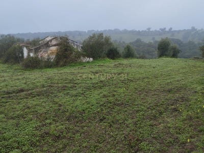 /international/pt/ponte-de-sor-portalegre-310100672509/