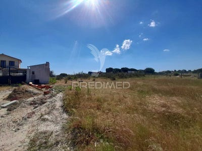 /international/pt/poceirao-e-marateca-palmela-setubal-municipality-310099806547/