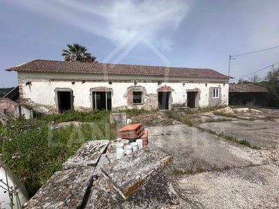/international/pt/cela-leiria-310107920981/