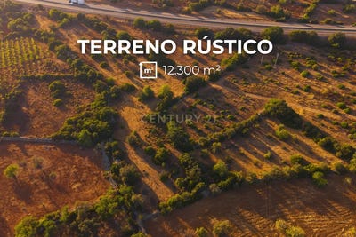 /international/pt/452w-fr-moncarapacho-portugal-moncarapacho-faro-310104041254/