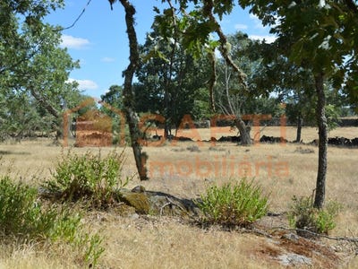 /international/pt/casal-de-cinza-guarda-310100484589/
